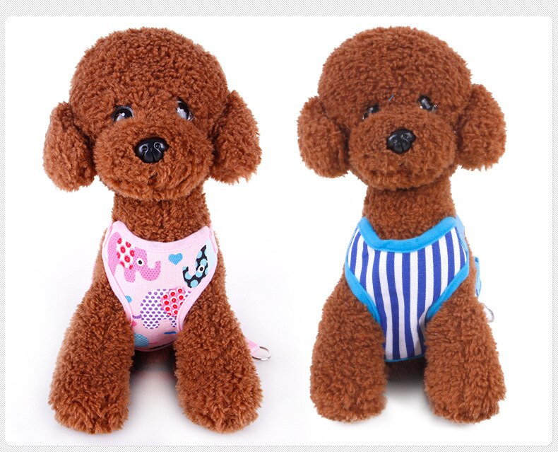 2021. aasta uued koerarihmade rakmed, tugevad nailonrihmad armsatele koertele, kasside suveks õues treenimiseks jalutusrihmade tarnija