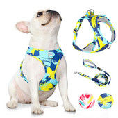 Ολοκαίνουργιο σετ λουριών και λουριών εκτύπωσης για σκύλους 2022 Μόδα λουρί και λουρί για κουτάβι 1,5 m Χαριτωμένο μολύβι και λουρί για σκύλους