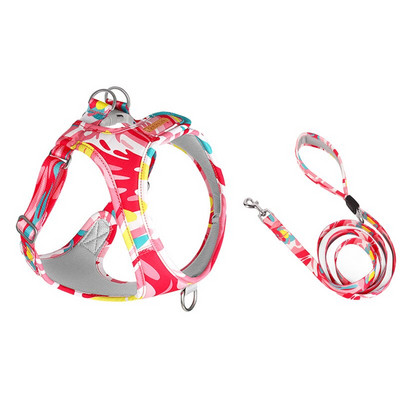 Ολοκαίνουργιο σετ λουριών και λουριών εκτύπωσης για σκύλους 2022 Μόδα λουρί και λουρί για κουτάβι 1,5 m Χαριτωμένο μολύβι και λουρί για σκύλους