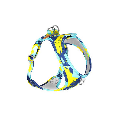 Ολοκαίνουργιο σετ λουριών και λουριών εκτύπωσης για σκύλους 2022 Μόδα λουρί και λουρί για κουτάβι 1,5 m Χαριτωμένο μολύβι και λουρί για σκύλους