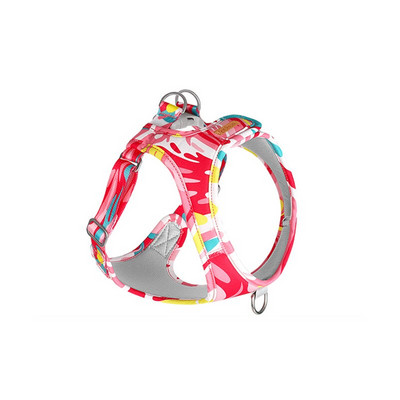 Ολοκαίνουργιο σετ λουριών και λουριών εκτύπωσης για σκύλους 2022 Μόδα λουρί και λουρί για κουτάβι 1,5 m Χαριτωμένο μολύβι και λουρί για σκύλους