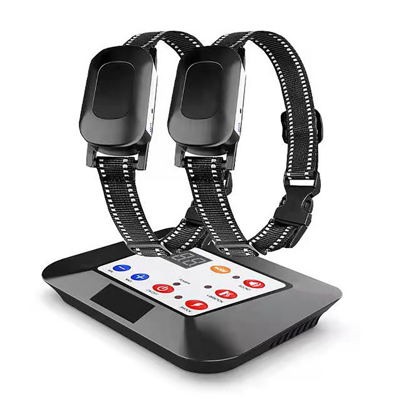 Koerte juhtmevaba elektritara ja treeningkaelarihm 2-ühes löökvibratsioonipiiks kõigile kutsikatele Nähtamatu taratõke lemmikloomadele ohutule