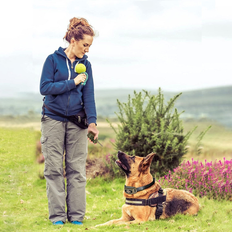 Nuotolinio valdymo pultelis 2000Ft elektrinis šunų dresavimo antkaklis, atsparus vandeniui, įkraunamas naminiams gyvūnėliams nuo lojimo kontrolės antkaklis šunims nuo elektros šoko