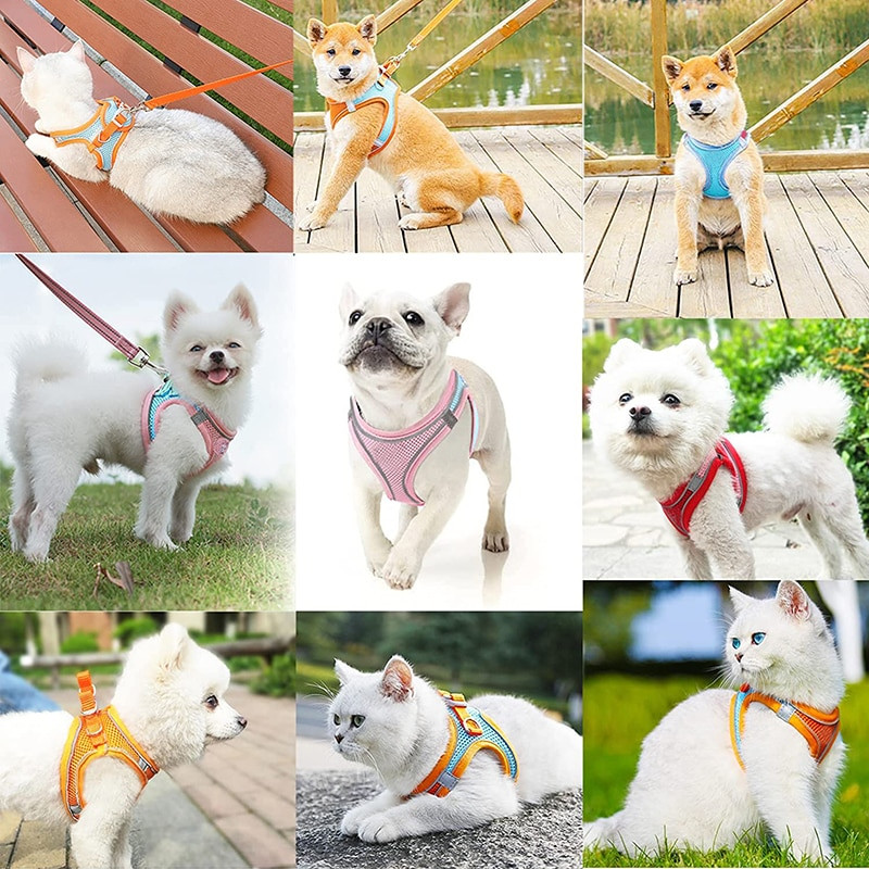 Benepaw Prozračni set povodnika za male pse Uprtač Udobna reflektirajuća izdržljiva zračna mrežica Zaštita od bijega Bez povlačenja Oprsnica za štence