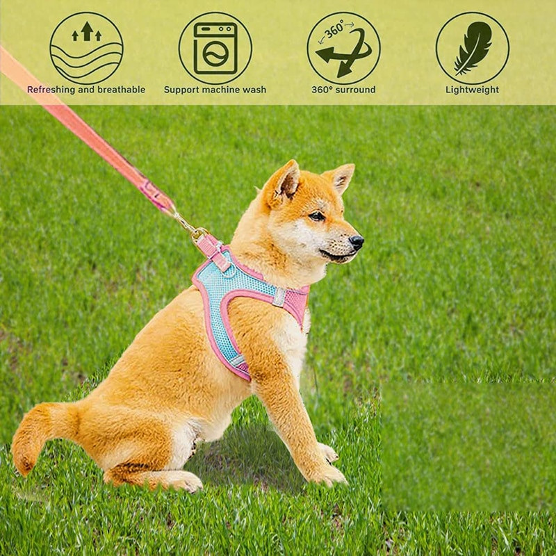 Benepaw Prozračni set povodnika za male pse Uprtač Udobna reflektirajuća izdržljiva zračna mrežica Zaštita od bijega Bez povlačenja Oprsnica za štence