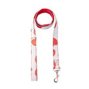 Lovely Pet Dog Γιλέκο Σετ λουριών λουριών σε στυλ για μικρούς μεσαίους σκύλους εξωτερικού χώρου γαλλικού μπουλντόγκ Corgi Dropshipping ZLL25