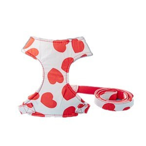 Lovely Pet Dog Γιλέκο Σετ λουριών λουριών σε στυλ για μικρούς μεσαίους σκύλους εξωτερικού χώρου γαλλικού μπουλντόγκ Corgi Dropshipping ZLL25