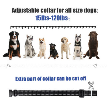MASBRILL 800m Electric Dog Training Light Collar IP7 αδιάβροχο τηλεχειριστήριο για κατοικίδια με κολάρα με λειτουργία κραδασμών κραδασμών