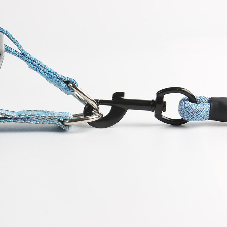 Nailonmaterjalist koerarihmade jalutusrihmade kaelarihma komplekt Reguleeritavad koerarihmad väikesele keskmisele koerale