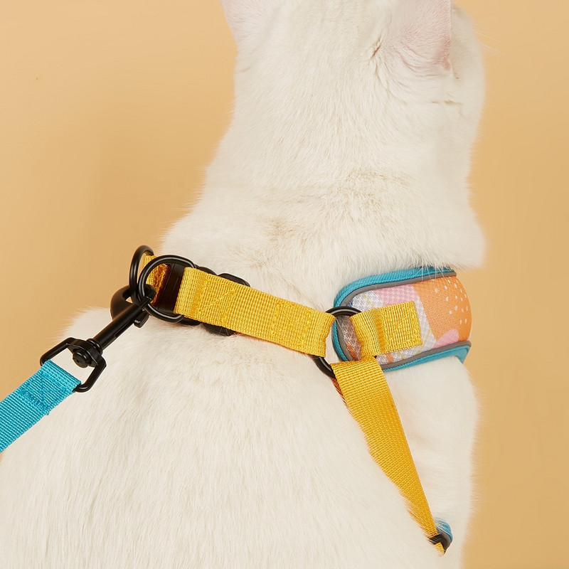 Hingavad koera- ja kassirakmed Helkurrihmad ja -rihmad Kasside komplektid Lemmikloomadele Mascotas Lemmikloomatarvikute kett