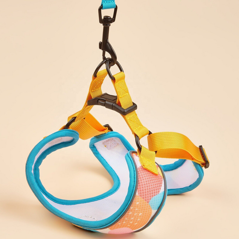 Hingavad koera- ja kassirakmed Helkurrihmad ja -rihmad Kasside komplektid Lemmikloomadele Mascotas Lemmikloomatarvikute kett