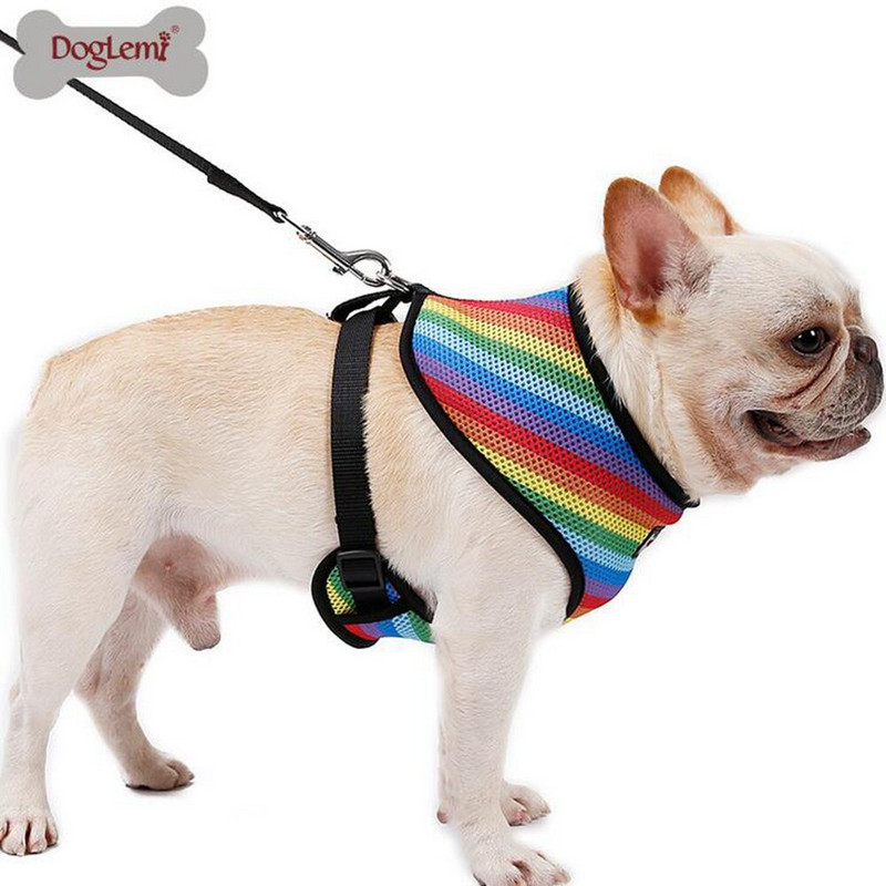 Ham cu plasă curcubeu respirabil pentru animale de companie pentru animale de companie, cu set de ham pentru jogging din plumb