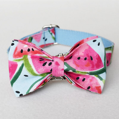 Guler de câine cu nume gravate personalizat, drăguț cu imprimare pepene verde, set de guler și lesă pentru câine cu eliberare rapidă pentru cățeluș