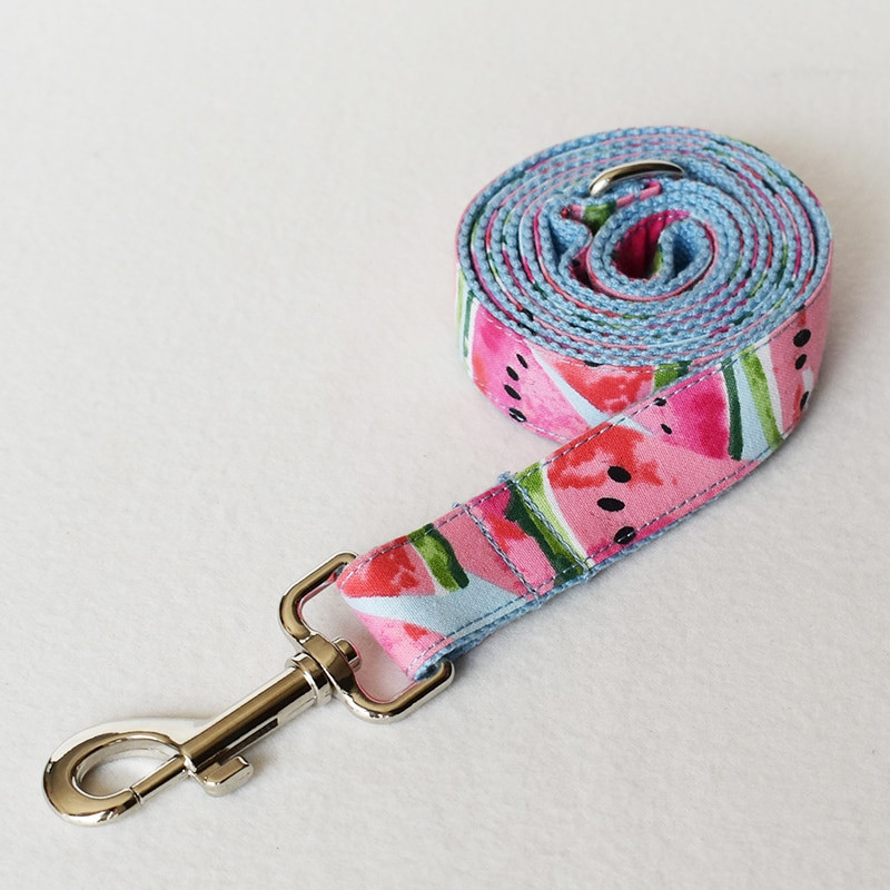 Guler de câine cu nume gravate personalizat, drăguț cu imprimare pepene verde, set de guler și lesă pentru câine cu eliberare rapidă pentru cățeluș