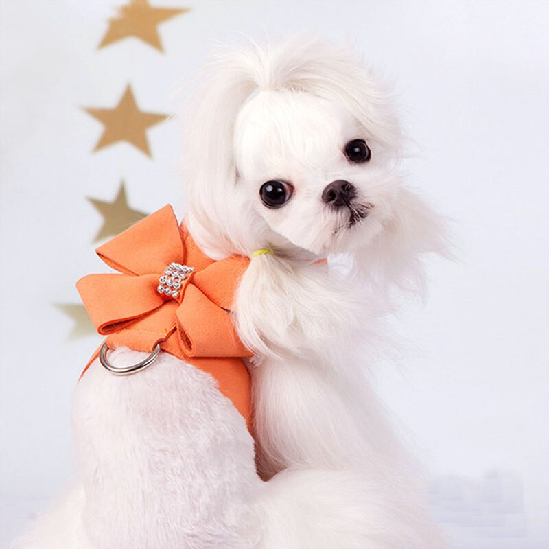 Liemenės stiliaus šuns krūtinės dirželis prancūzų buldogas vedžioti šunį katės šuniukas čihuahua pavadėlio rinkinys mažo ir vidutinio šuns reikmenys