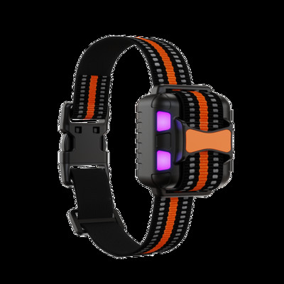 800 m elektromos kutyakiképző nyakörv vízálló kisállat távirányító Újratölthető kiképző kutyanyakörv Shock vibrációs hanggal