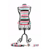 Σετ λουριών για κατοικίδιο ζώο σε νάιλον λωρίδα Σκύλος λουρί + κολάρο + λουρί Ρυθμιζόμενο γιακά σκύλου Σετ λουριών γιακά για κουτάβι και λουρί για σκύλο