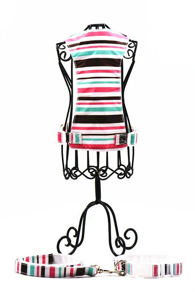 Σετ λουριών για κατοικίδιο ζώο σε νάιλον λωρίδα Σκύλος λουρί + κολάρο + λουρί Ρυθμιζόμενο γιακά σκύλου Σετ λουριών γιακά για κουτάβι και λουρί για σκύλο