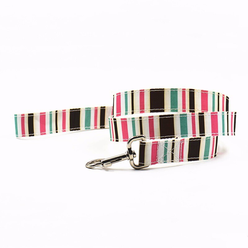 Σετ λουριών για κατοικίδιο ζώο σε νάιλον λωρίδα Σκύλος λουρί + κολάρο + λουρί Ρυθμιζόμενο γιακά σκύλου Σετ λουριών γιακά για κουτάβι και λουρί για σκύλο