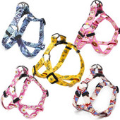 Ρυθμιζόμενο λουρί με λουρί σκύλου Χαριτωμένο λουλούδι Εκπαίδευση μικρού μεσαίου μεγάλου γιλέκου σκύλου Προμήθειες κατοικίδιων για τρέξιμο Αναπνεύσιμο κολάρο σκύλου