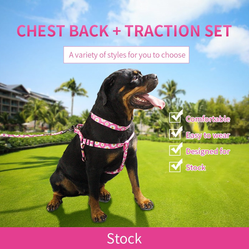 Ρυθμιζόμενο λουρί με λουρί σκύλου Χαριτωμένο λουλούδι Εκπαίδευση μικρού μεσαίου μεγάλου γιλέκου σκύλου Προμήθειες κατοικίδιων για τρέξιμο Αναπνεύσιμο κολάρο σκύλου