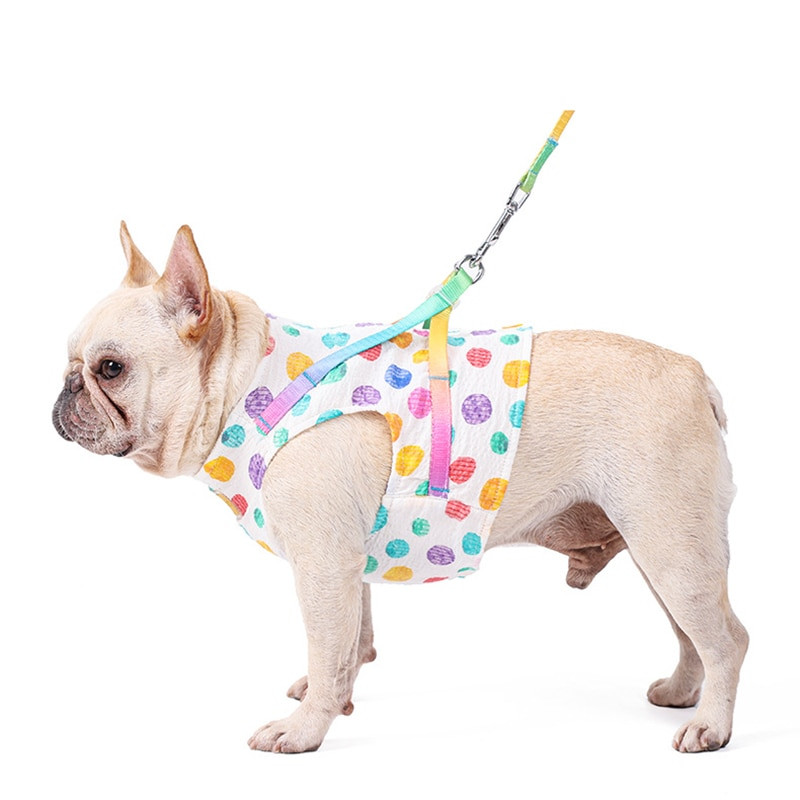 Set de lesă pentru ham pentru pisici pentru animale de companie, cu puncte curcubeu, set de hamuri moi, respirabile, pentru câini de talie mică, mijlocie, costum de frânghie pentru plimbări