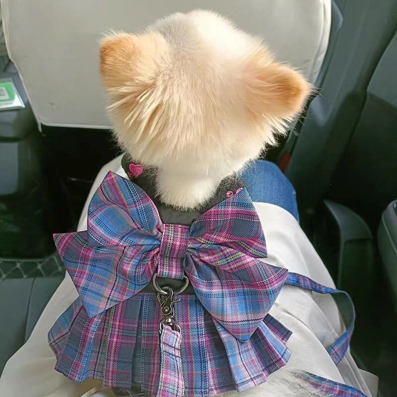 Prekės naminiams gyvūnėliams Šunų drabužiai Katės Plaid koledžo vėjo liemenių pavadėlio rinkinys šuniukas Čihuahua Jorkšyro šunų krūtinės dirželis