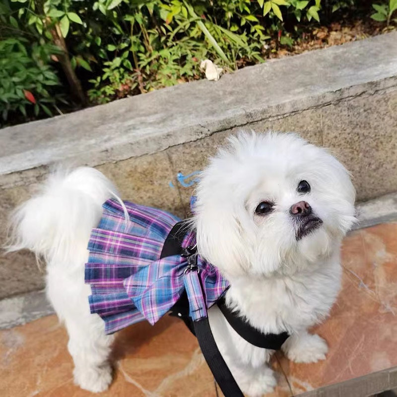 Prekės naminiams gyvūnėliams Šunų drabužiai Katės Plaid koledžo vėjo liemenių pavadėlio rinkinys šuniukas Čihuahua Jorkšyro šunų krūtinės dirželis