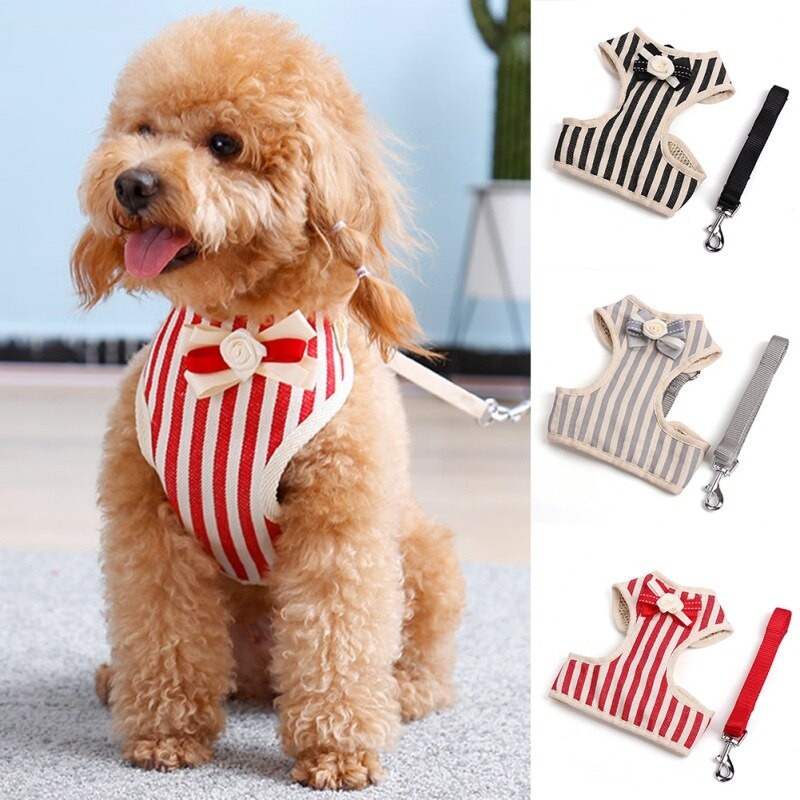 Dryžuotas šuniuko katės pavadėlio komplektas Mažo šuns lanko diržas su pavadėliu Minkštas kvėpuojantis tinklinis naminių gyvūnėlių liemenė šuniuko kačiukui