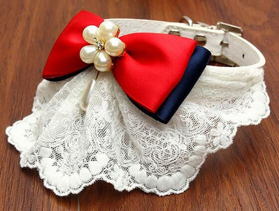 Caini de lux, pisici, dantela, guler de perle, accesorii pentru toaleta cainilor, 1 buc.