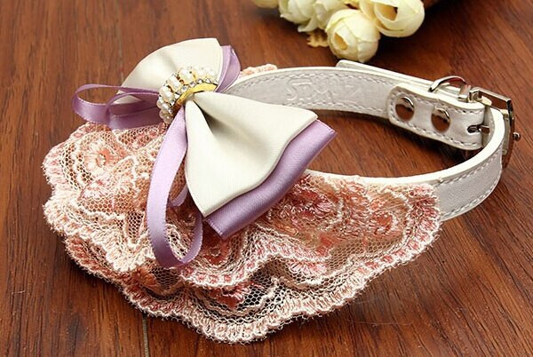 Caini de lux, pisici, dantela, guler de perle, accesorii pentru toaleta cainilor, 1 buc.