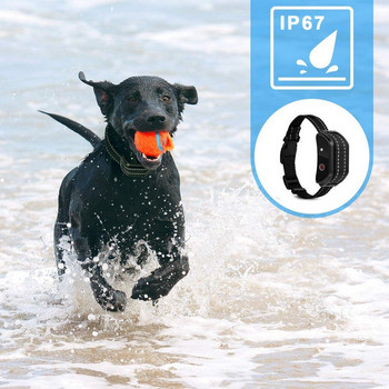 Нашийник за обучение на домашни кучета с дистанционно акумулаторен LCD до 1000 фута Ударен нашийник Звуков сигнал Вибрационен шок