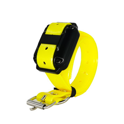 Zgarda de dresaj pentru câini Telecomanda Vibrații Accesorii pentru zgarda 880 Accesorii pentru zgarda de dresaj pentru câini Multicolor