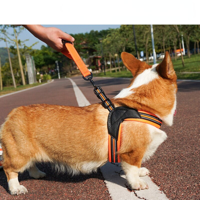 Peegeldavad prantsuse buldogi lemmikloomade rakmed ja jalutusrihma komplekt Mugavad võrgust koerarakmed väikestele keskmistele koertele Lemmikloomadele Aksessuaarid smycz dla psa