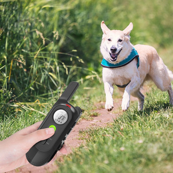 Електрически дистанционен нашийник за обучение на кучета IP65 Акумулаторен LCD дисплей Ударна нашийник с две памети за запис 2021 Най-новото отблъскване на кучета
