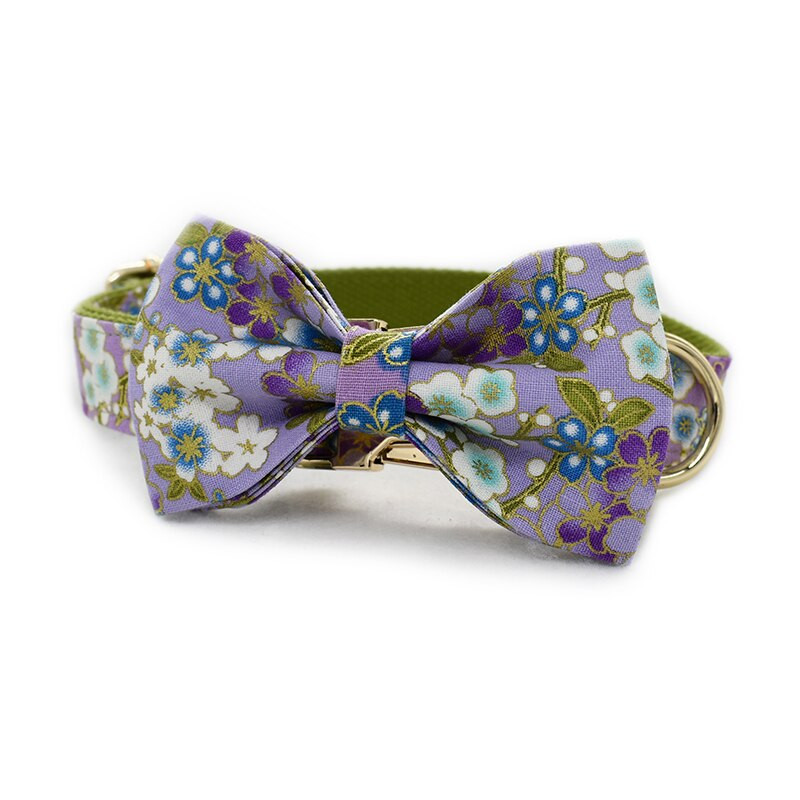 Arc personalizat guler de câine lesă cu metal auriu cataramă reglabilă papion guler pentru animale de companie curele de lesă accesorii pentru câini de bună calitate