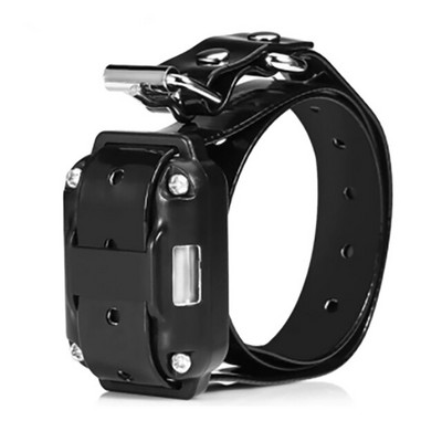 800M κολάρο εξοπλισμού εκπαίδευσης σκύλων Επαγγελματική αλυσίδα για 3 σκύλους Μικρό μεγάλο γάβγισμα με τηλεχειριστήριο 3 τρόπων εκπαίδευσης σκύλων