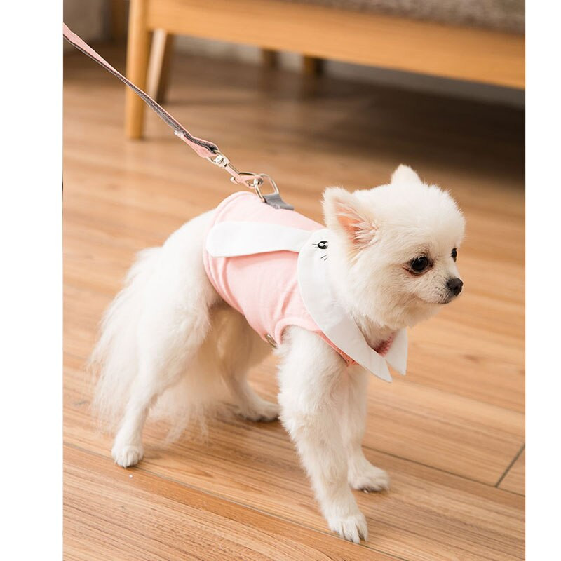 Ζώνες σκύλου με λουρί Ρυθμιζόμενο γιλέκο για περπάτημα Αξεσουάρ για μικρό σκύλο