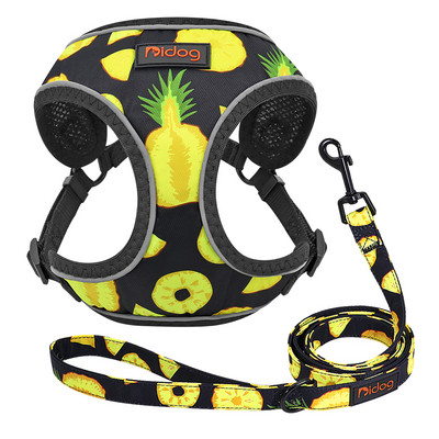 Ανακλαστικό σετ λουριών λουριών λουριών από νάιλον σκύλου Εκτύπωση γιλέκο με πλέγμα κατοικίδιων ζώων Ρυθμιζόμενο λουρί 5 ποδιών για μικρούς μεσαίους μεγάλους σκύλους Τσιουάουα