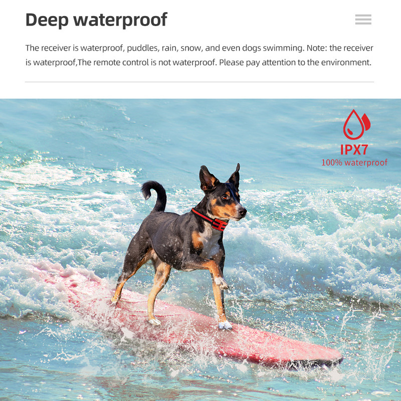 500M koeratreeningu kaelarihm lemmiklooma elektriline kaugjuhtimisrihm veekindel laetav LCD-ekraaniga koerte treenimisrihm 30% SOODSAMAD