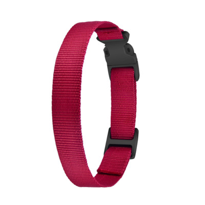 „Paipaitek“ pakaitinis antkaklis „Shock“ apykaklei. Madingi kaklo papuošalai pagal individualų stilių pritaikyti naminių šunų kačių antkakliai