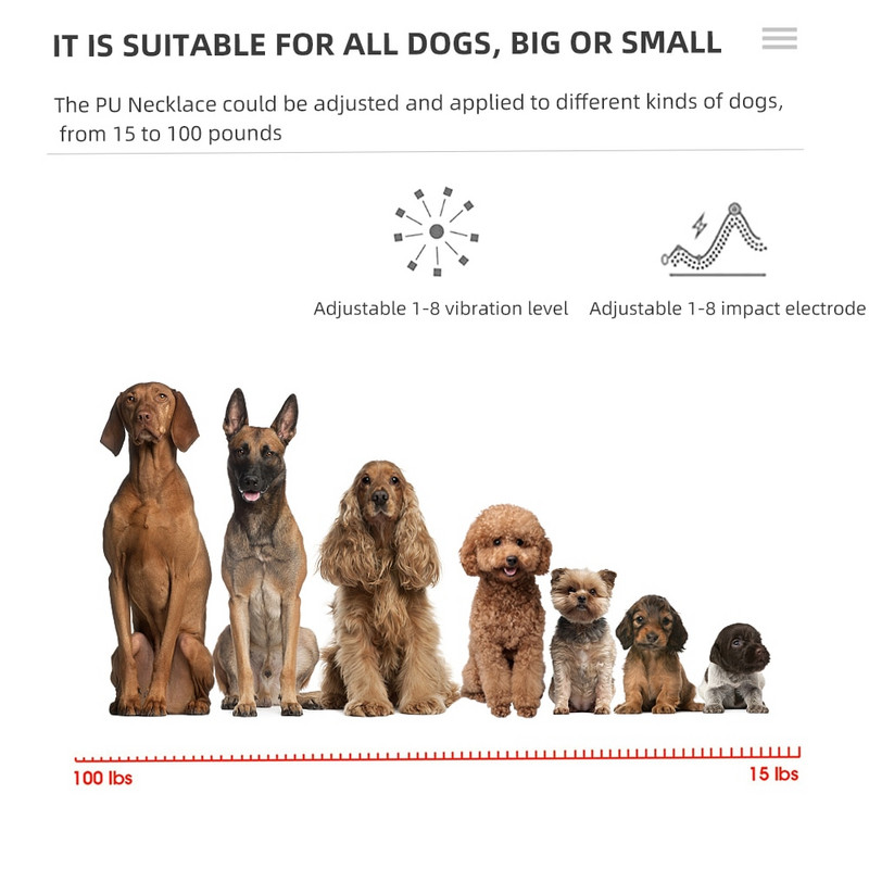 LCD elektriline koerte treeningkaelarihm, automaatne veekindel laetav antiBark koerte treeningkaelarihm vibratsiooniheliga