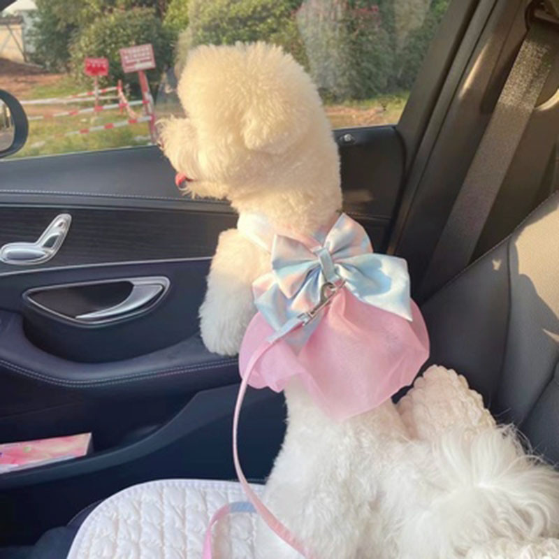 Vibuvesti tüüp Breakaway Cat Rihm Lemmiklooma Koera rinnarakmed Ülikond Printsess Lõngavest Vest Kleit Koerariided Väikestele Koertele