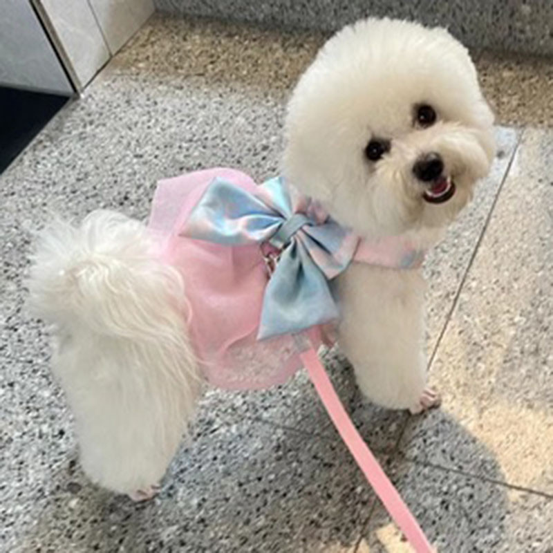 Vibuvesti tüüp Breakaway Cat Rihm Lemmiklooma Koera rinnarakmed Ülikond Printsess Lõngavest Vest Kleit Koerariided Väikestele Koertele