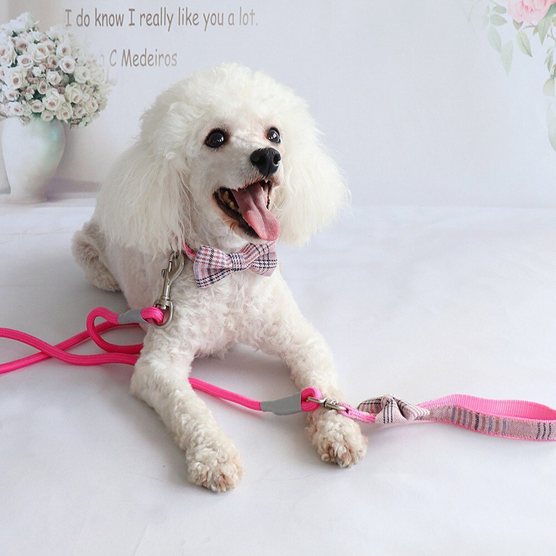 Grid Nailonist koera kaelarihma ja jalutusrihma komplekt kikilipsu disainiga lemmiklooma kutsika jalutusköiega puudlid kassi kaelarihma komplekt
