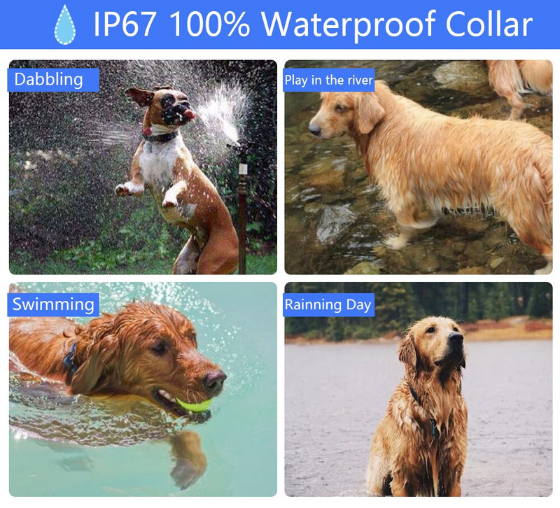 Koerte koolitus elektrišokk E kaelarihm haukumiskäitumise treenimine kaugjuhtimispuldiga suurte ja keskmiste väikeste koerte treenimiseks