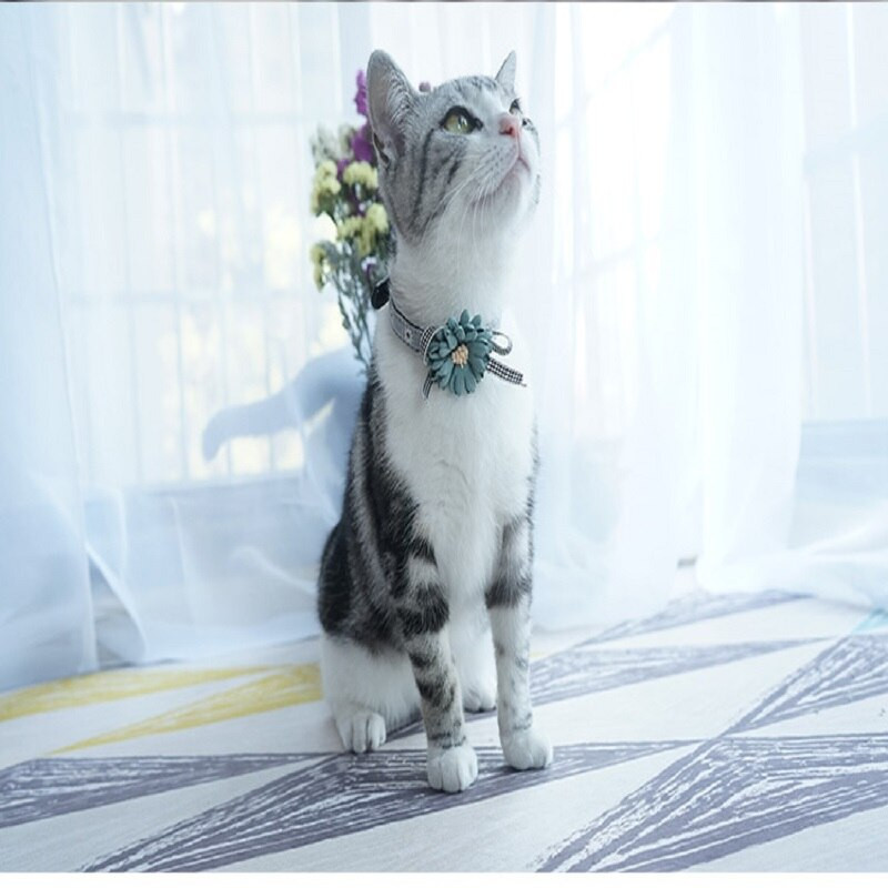 Guleră reglabilă Animale de companie Guler pentru câini Floare Cățeluș Pisică Guler pentru câine Set de lesă pentru câini mici și mijlocii Colier din piele Accesorii pentru animale de companie