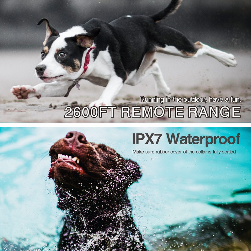 Elektriline koerte koolituskaelarihm, peatada haukumine, haukumisvastane varustus 800 m kaugjuhtimispuldiga kaelarihmad koertele vibratsioonilöök veekindel