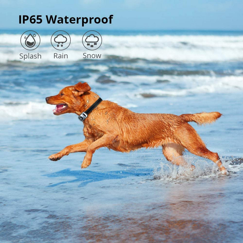 9 taset reguleeritav turvaline koerte repeller Koera haukumata kaelarihm Automaatne efektiivne laetav elektriline koera haukumisamortisaatori kaelarihm