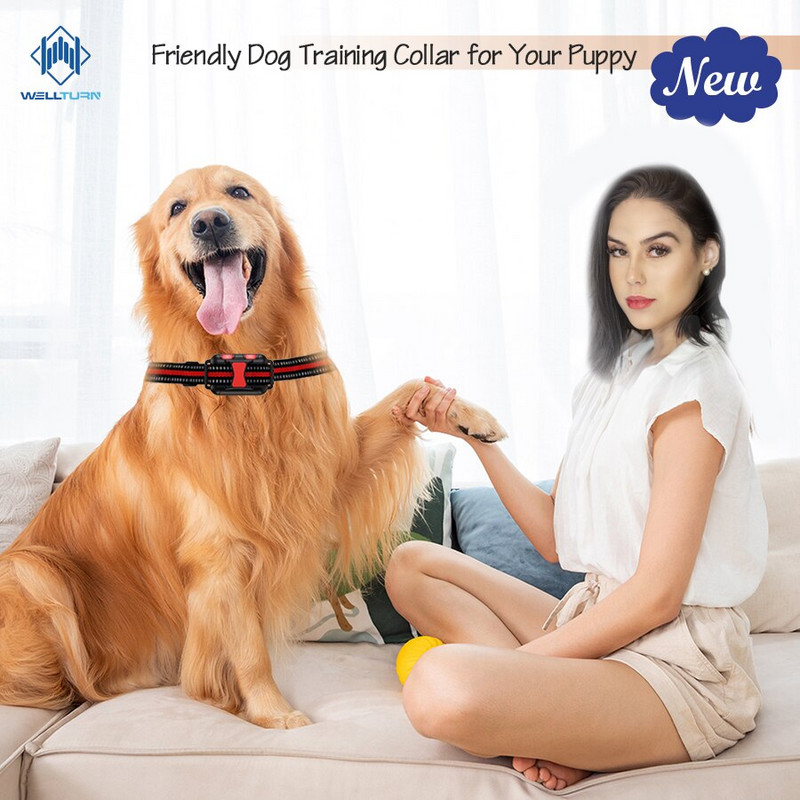 Elektrooniline koeratreeningu kaelarihm koos kauglaetava veekindla põrutussignaaliga Vitration põrutusvalgustiga väikesele keskmisele suurele koerale